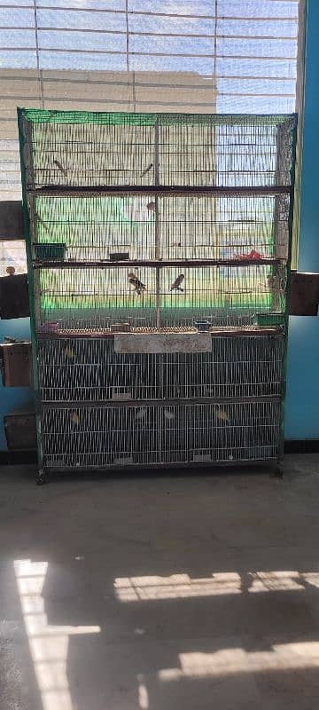 10 Portion folding cage with birds 0