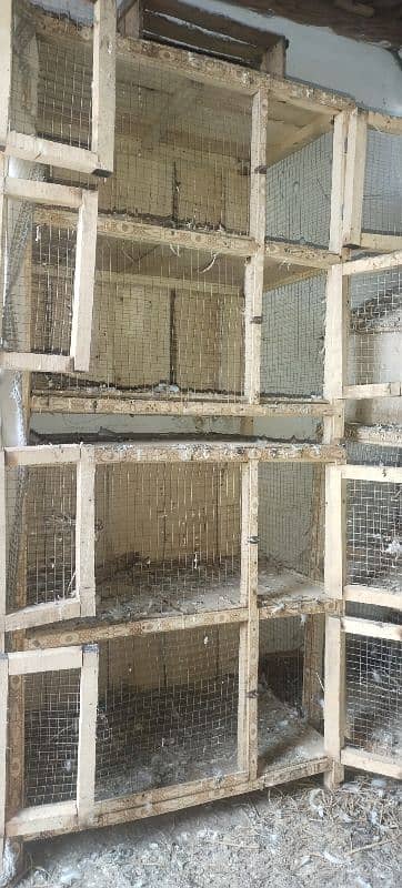 peigon cage for sale total 6 cage 12 box 1