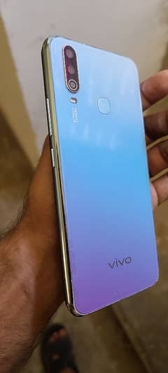 VIVO