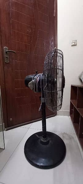 Rado pedestal fan 1