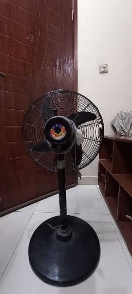 Rado pedestal fan 3