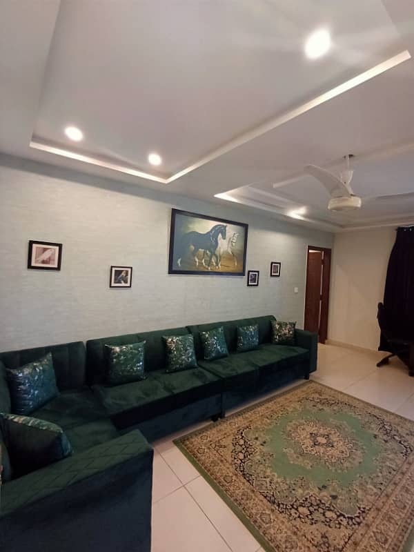 Newly Well Furnished apartments for Rent 2