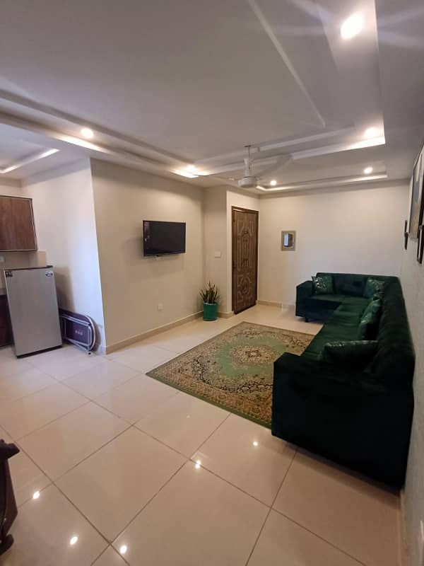 Newly Well Furnished apartments for Rent 3