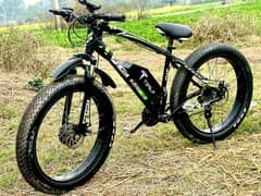 Speed Electric Fat Bicycle