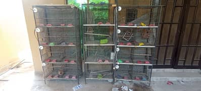 3 breeding cages for sale