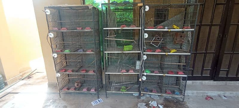 3 breeding cages for sale 1