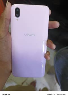 Vivo