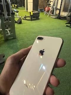 iphone 8 plus 256gb pta proved  No exchange