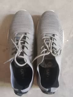 Al NASR brand size 46