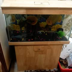 Fish Aquarium for sale urgent demand 22k price kam bhi ho Jaye gi