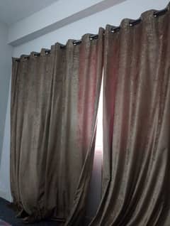 curtains