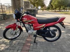 Yamaha YB 125Z Urgent For Sale | Yamaha In Bikes | Total Geniune