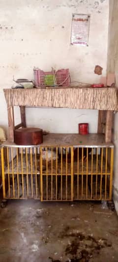 cage for urgent sale