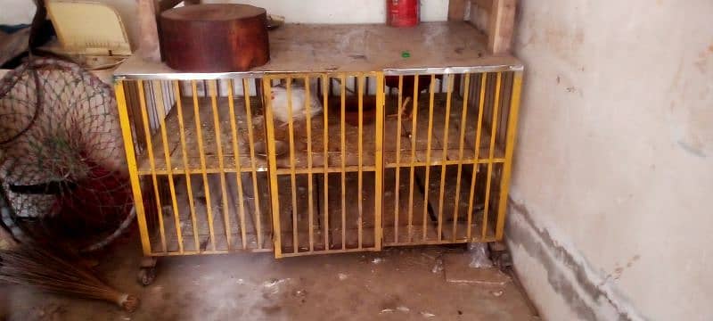 cage for urgent sale 3