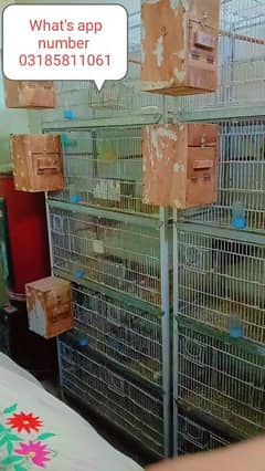 birds cage for sale hai