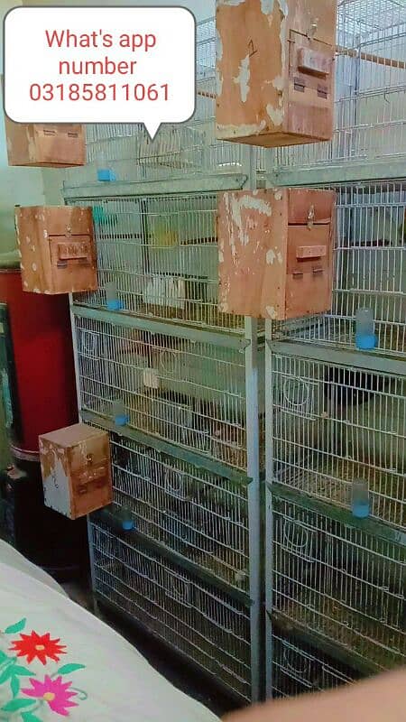 birds cage for sale hai 0