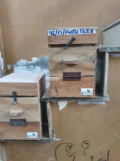 Birds Breeding Box (50+pcs)Available