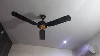 Ceiling fan for sale