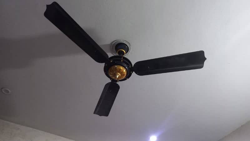 Ceiling fan for sale 2