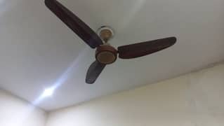 Ceiling fan for sale