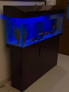 aquarium for fishes