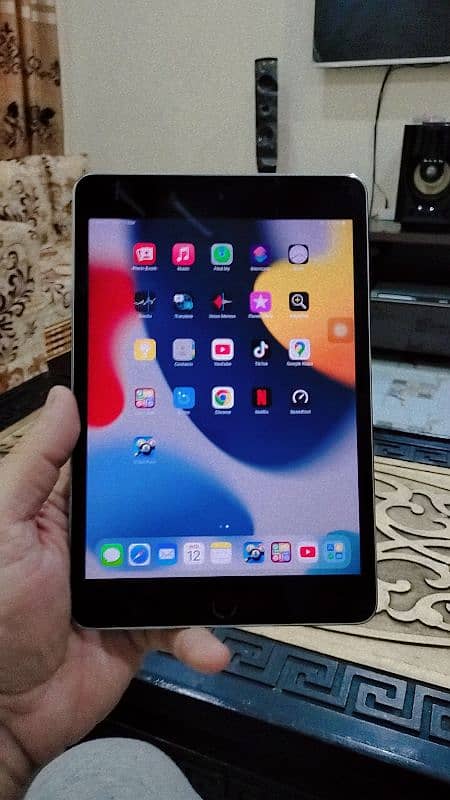 I pad mini 4 2