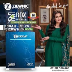 Ziewnic Z-BOX Lithium Battery 51.2V