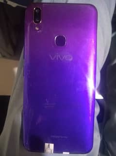 vivo