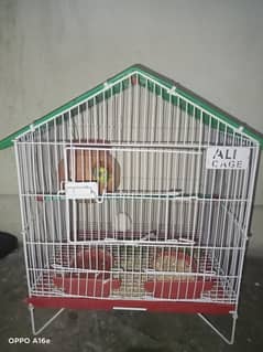 Pair of Australia parrot with cage