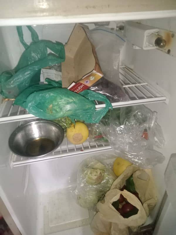 refrigerator 5