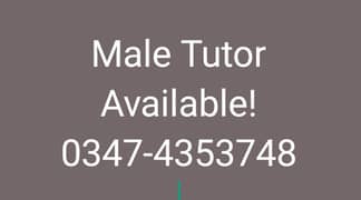 Male Tutor Available