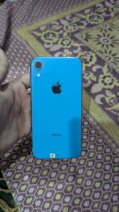 Iphone XR 10/10 Mint Condition