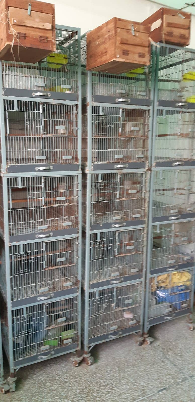 6 Cages for sale 0