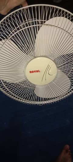 Royal fan for sale brand new condition 10/10 copper