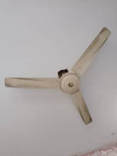 ceiling fan