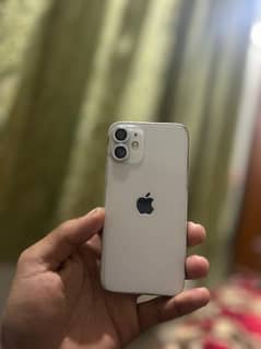 iphone 12 mini (mint condition)