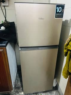 normal size haier fridge 50000