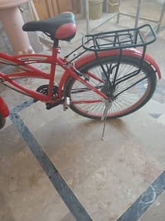 sell bicycle full size condition 10/10