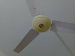 ceiling fan