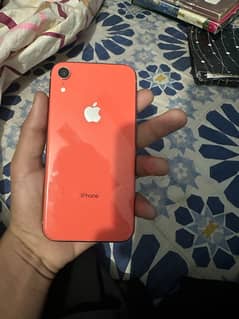 iPhone XR jv