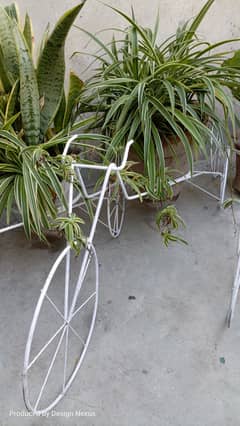 Beautiful Tri-Cycle Planter Stands