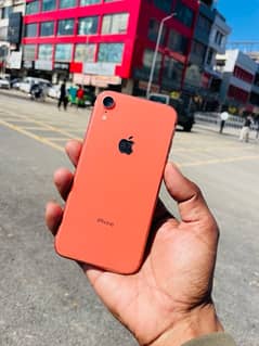 iPhone XR non PTA 64gb