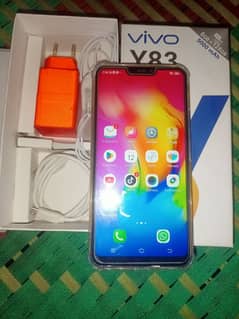 vivo