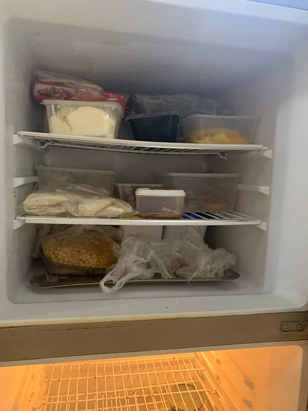 fridge 7