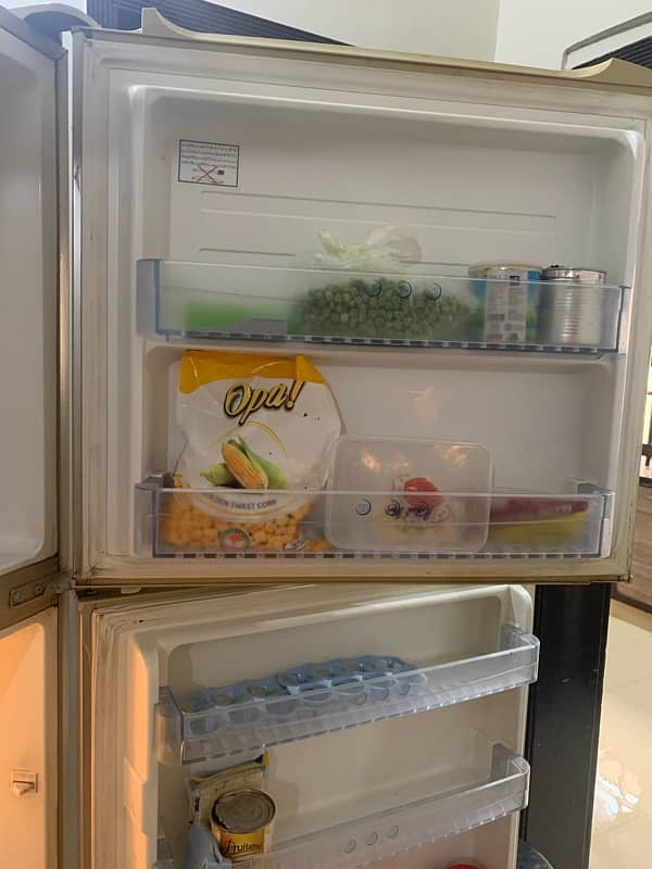 fridge 12