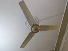 GFC Ceiling Fan