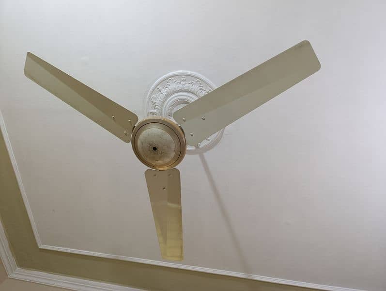 GFC Ceiling Fan 1