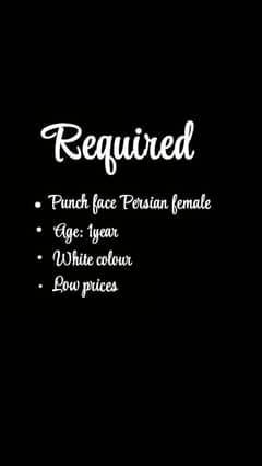 Persian female required