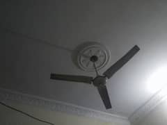 sell my royal ceiling fane not open no repair