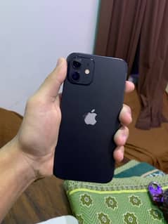 iPhone 12 ( 64gb Jv )